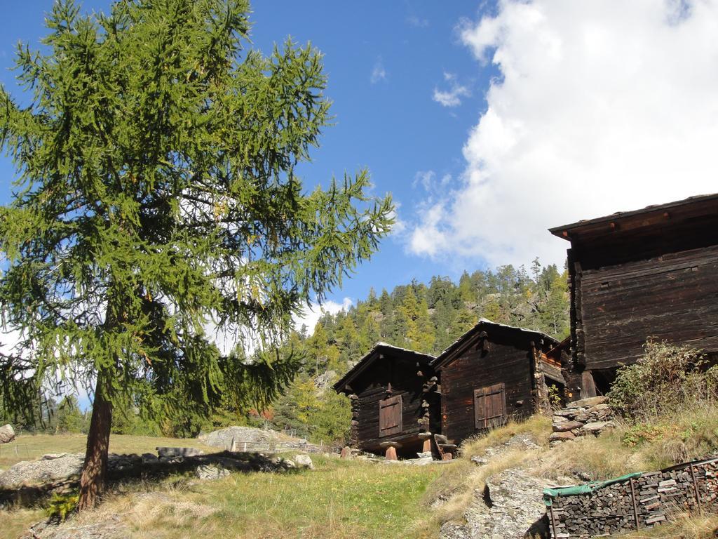 Haus Alpenstern Saas-Grund Exterior foto