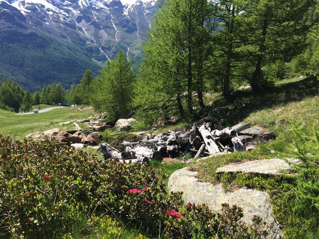 Haus Alpenstern Saas-Grund Exterior foto